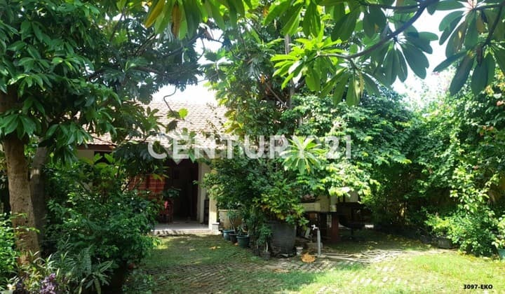 Rumah Murah Hitung Tanah Pejaten Timur Pasar Minggu Jaksel