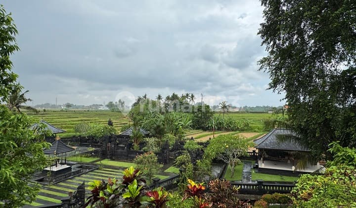 Tanah 2,2 Are dengan View Sawah di Nyanyi - Lokasi Premium untuk Villa