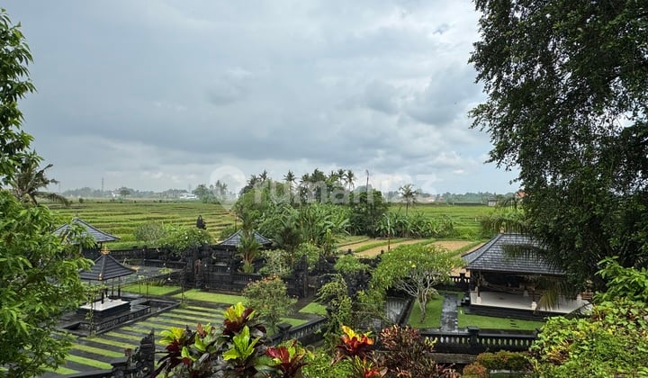 Tanah 2,2 Are dengan View Sawah di Nyanyi - Lokasi Premium untuk Villa