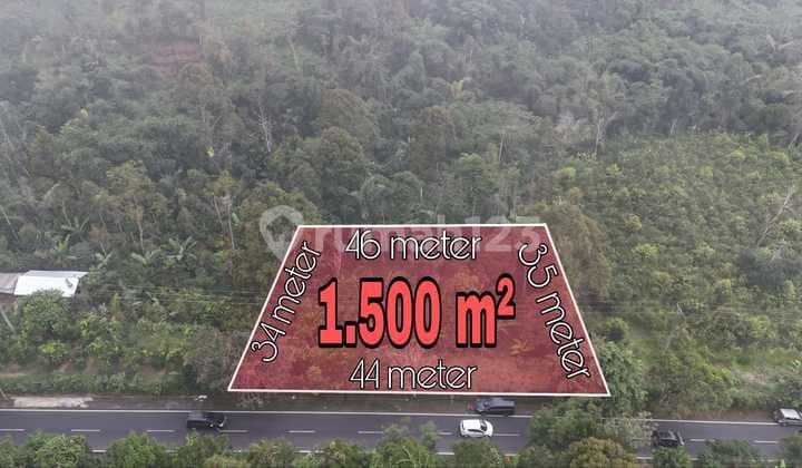 Tanah Murah Pinggir Jalan Jungle View Pelaga Badung Bali