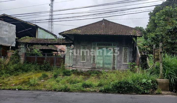 Tanah Bonus Bangunan Rumah Jalan Utama Sebatu Tegalalang Gianyar Bali