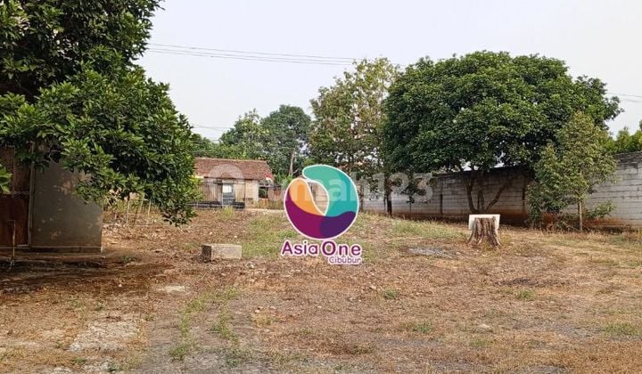 Tanah 17000 M² Shm Dan Kebun Siap Pakai