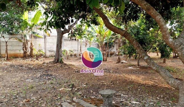 Tanah Shm Ha Di Cileungsi Cocok Untuk Perumahan