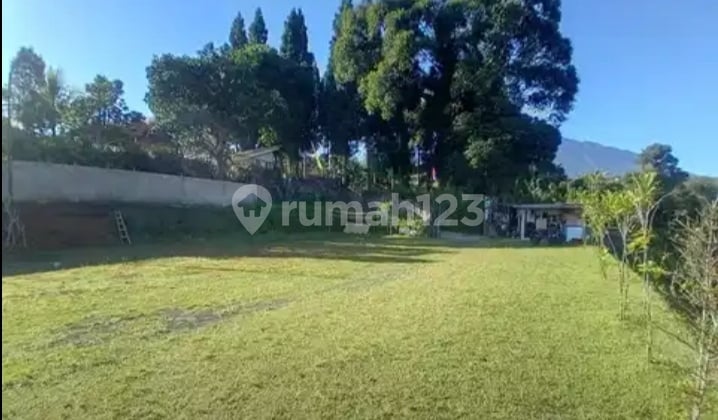 Tanah Murah Strategis di Puncak Bogor. Dekat Akses Tol Gadog