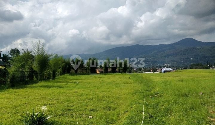 Tanah Dipuncak Bogor Dekat Hotel Seruni Puncak. View Sangat Bagus