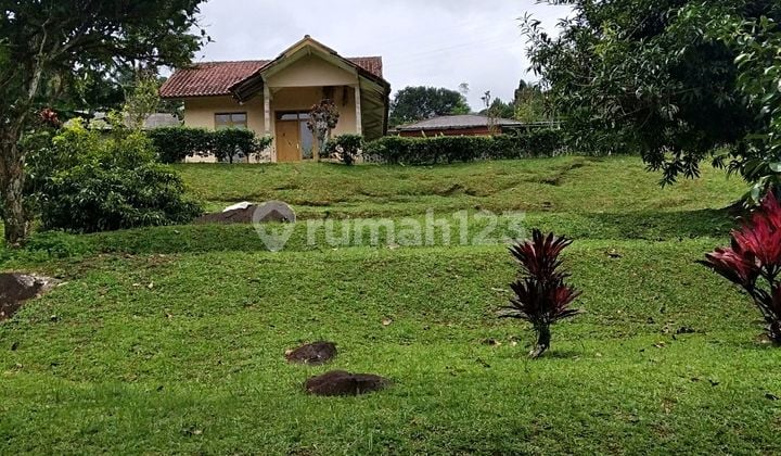 Megamendung Tanah Strategis Dekat Wisata Curug Cilember Good View