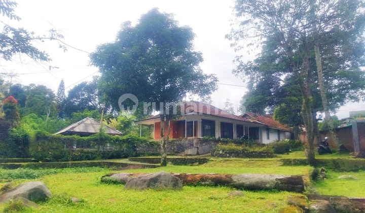 Villa Puncak Bogor. Strategis Nyaman dan Tenang Dekat Safari