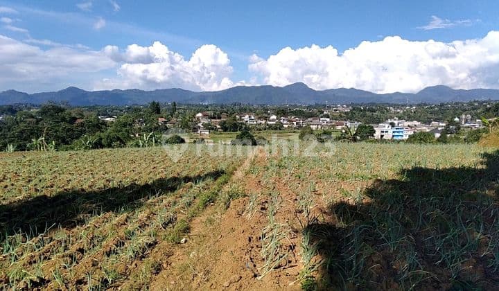 Tanah Strategis Puncak Bogor. Good View Lepas Best Location