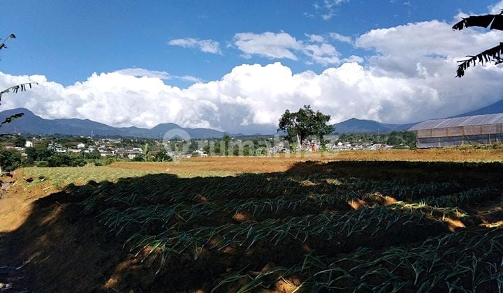 Tanah Megamendung Puncak Best Location View Menarik Good Invest