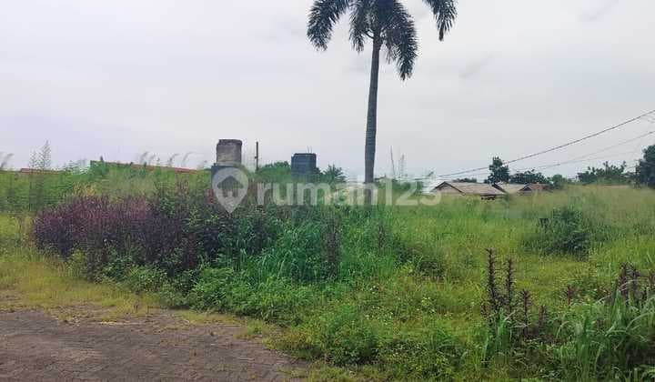 Tanah Jl. Raya Bogor Cibinong