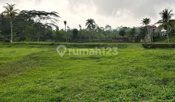 Wide and Strategic Land in Cisarua Bogor