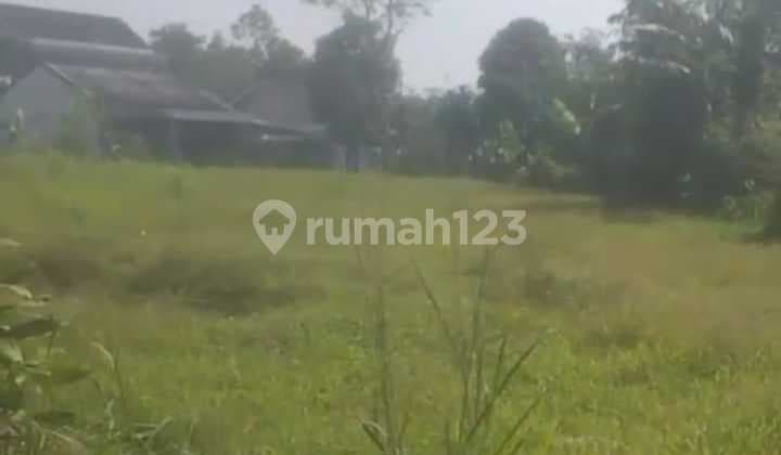 Tanah Kavling Cocok Untuk Usaha atau Rumahan Di Cicurug Sukabumi