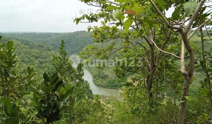 Tanah Dijual Area Dlingo Bantul Dekat Area Wisata