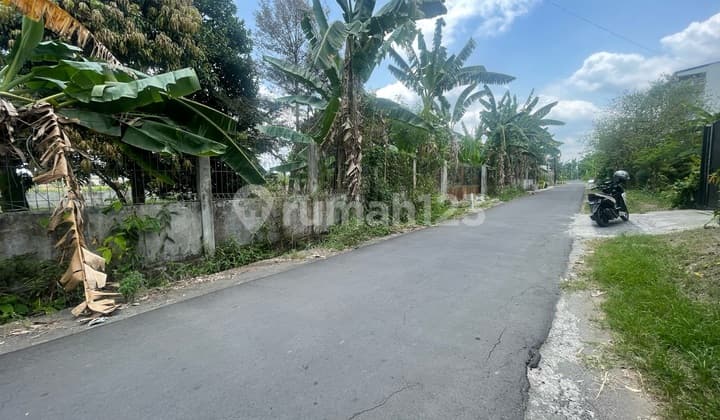 Jual Tanah Jl Raya Lpmp Tirtomartani Kalasan Sleman