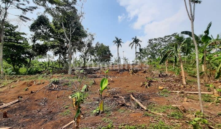Tanah Cocok Untuk Villa Jalan Jonggol Cariu Bogor