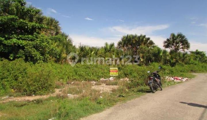 Tanah Luas 2.987 m2 Karanja Lembah Kota Palu Sulawesi Tengah