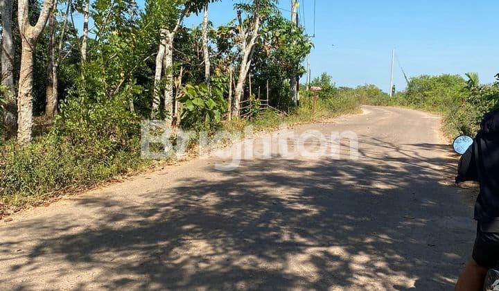 Tanah Padat Pinggir Jalan Dekat Camp Bukit Gandus Area Gandus