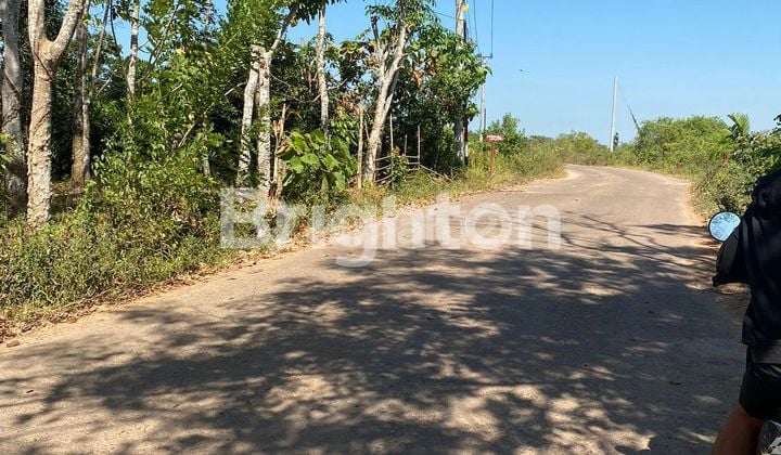 Hard Soil 8 Plots Along the Road, Gandus Area