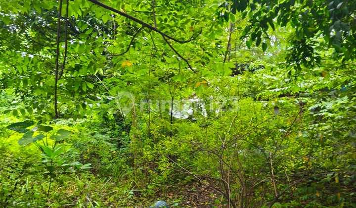 Dijual Kavling di Tegal Alur Cengkareng. Lokasi Strategis