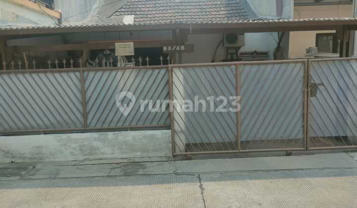 Kelapa Gading 1.35m Nego Murah