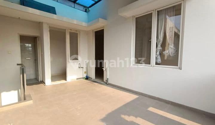 Grand Orchard Cluster Ebony Hook 208m2