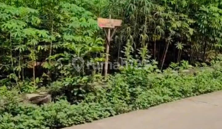 Tanah Karawang Barat Teluk Jambe Desa Purwadana Kampung Bobojong 900m2