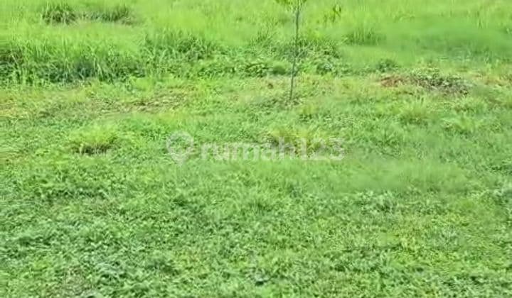 Tanah pabrik di kecamatan Gringsing Batang Jawa Tengah