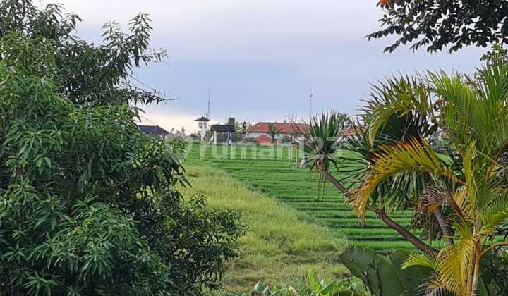 Dijual Tanah +Vila Kintamani Brawa