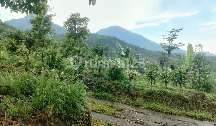 Land in a developing area, specifically in Munduk Village, Buleleng, Bali.