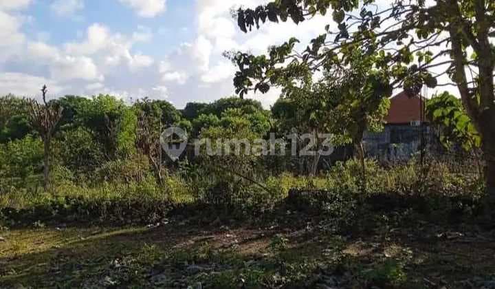 Dijual Disewakan Lahan. Lokasi Jalan Pantai Balangan Jimbaran.bali