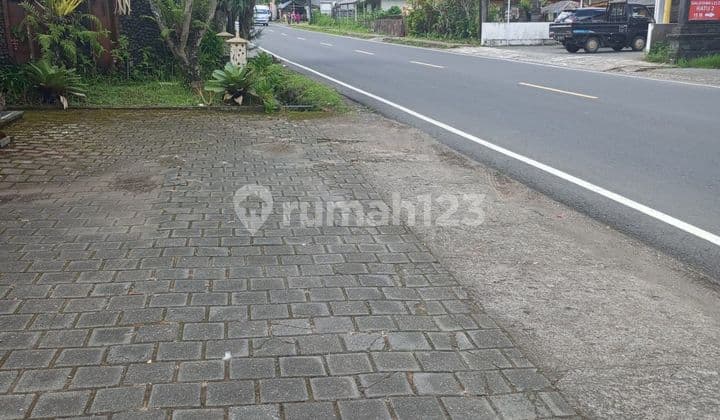 Rented Out Super Rare Land - Lake Lot in the Heart of Bedugul Tourism, Candikuning