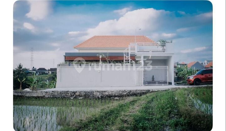 Sale/Rent Villa Buduk Near Canggu.
