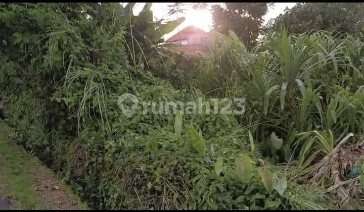 Dijual Tanah Lokasi Jalan Utama dan Langsung Loss Sungai Tepatnya di Pererenan Tumbak Bayuh