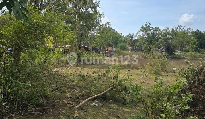 LAND FOR RENT OR FREEHOLD : BALANGAN JIMBARAN BALI ACCESS AND DISTANCE TO BALANGAN BEACH TO SEE THE SUNSET ONLY 5 MINUTES*