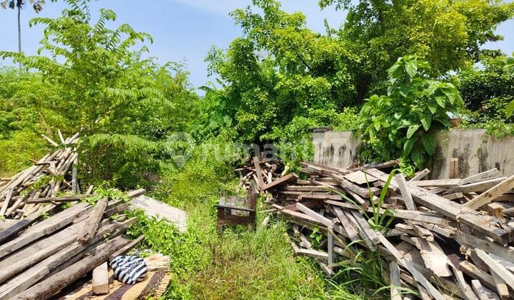 Land for sale in the Pererenan beach area of Canggu, Bali. The location is close to Pererenan beach