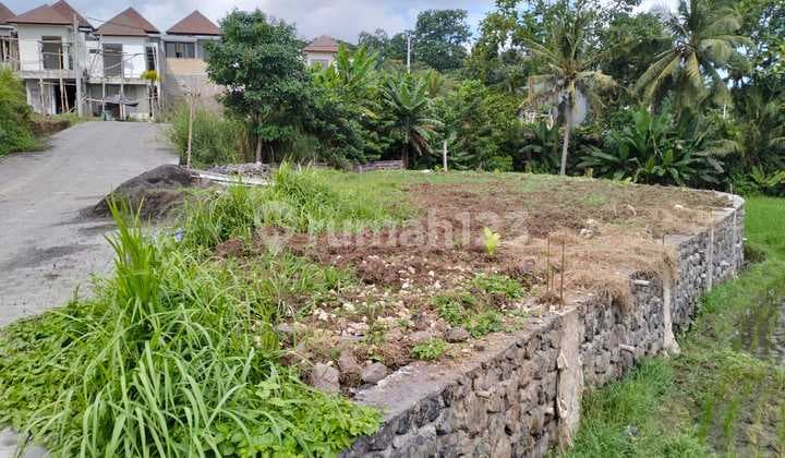 Di Jual Tanah Luas kecil dan Murah di Jalan Pantai kedungu.