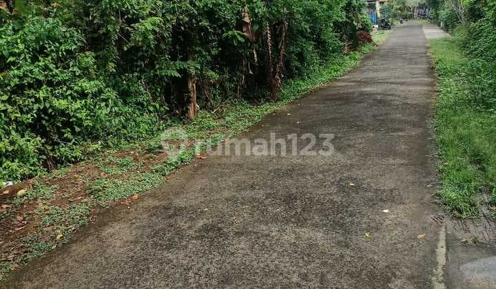 Lahan premium Lokasi desa mambang kabupaten Tabanan BALI