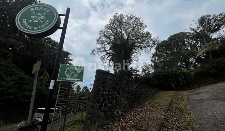 Dijual Tanah Kebun Durian Produktif di Sanda Tabanan - Bali