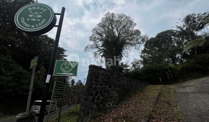 Dijual Tanah Kebun Durian Produktif di Sanda Tabanan - Bali