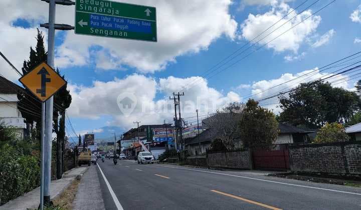 Dijual Tanah Kebun Durian Produktif di Baturiti Tabanan - Bali