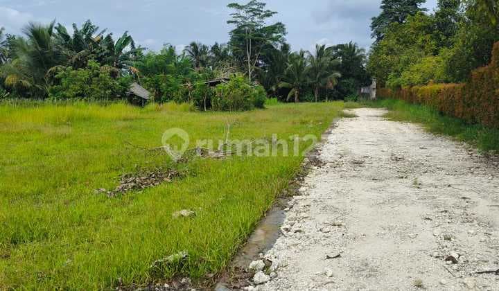 Dijual Tanah Suasana Sejuk dan Tenang Loss Sungai Nempel dengan Kolam Renang dan Area Pesraman