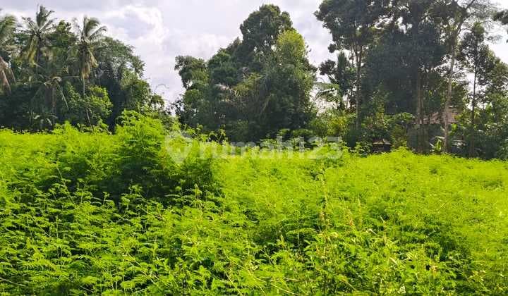 Dijual Tanah Suasana Sejuk dan Tenang Loss Sungai dan Kanan Kiri Rumah Penduduk