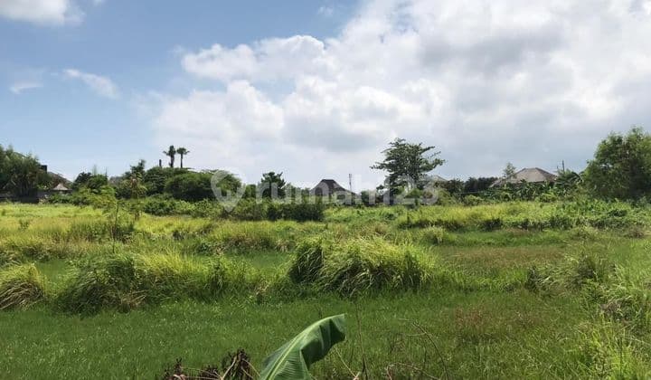 Dijual Tanah di Jalan Umalas Ii Kerobokan Kuta