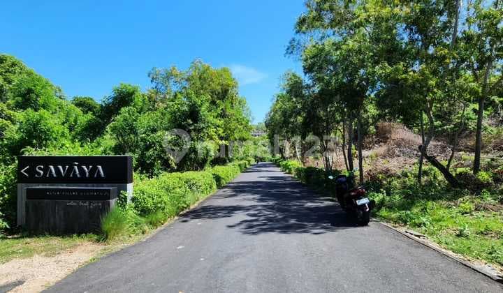 Di Jual Tanah Kebun Cengkeh Dengan View Laut Buleleng Singaraja Bali