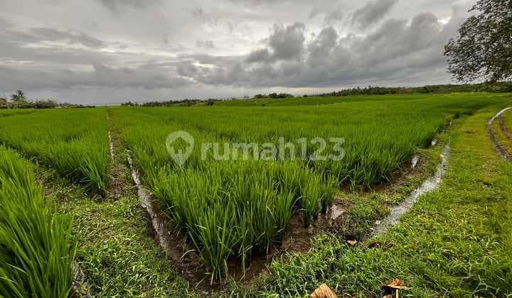 Tanah Full View Laut , Gunung , Sawah, dan Sungai di Tegal Mengkeb Tabanan Bali