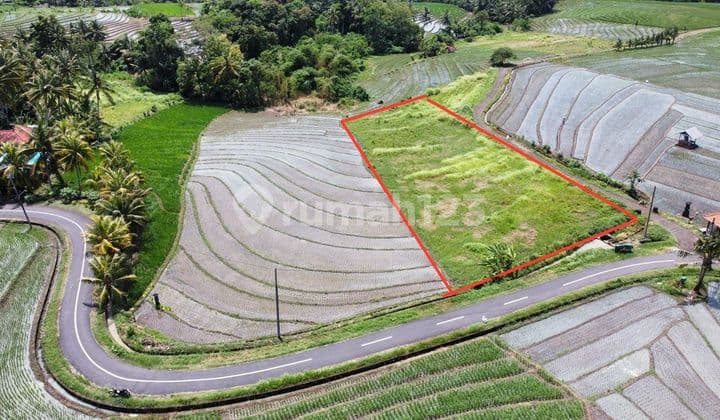 Dijual Tanah dengan Pemandangan Sawah dan Laut