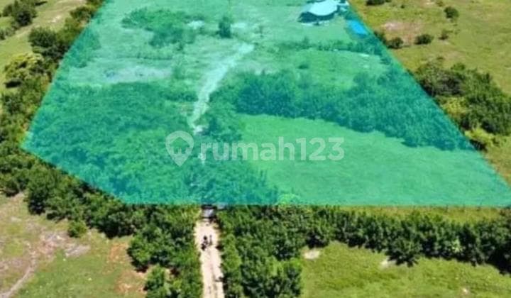 Dijual Tanah Los Tebing Pantai di Pantai Tanah Barak - Pandawa Kuta Selatan Badung