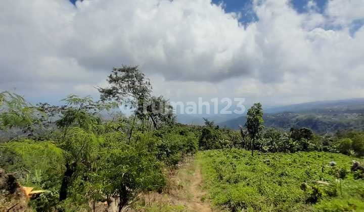 Di jual tanah di desa munduk Buleleng Bali