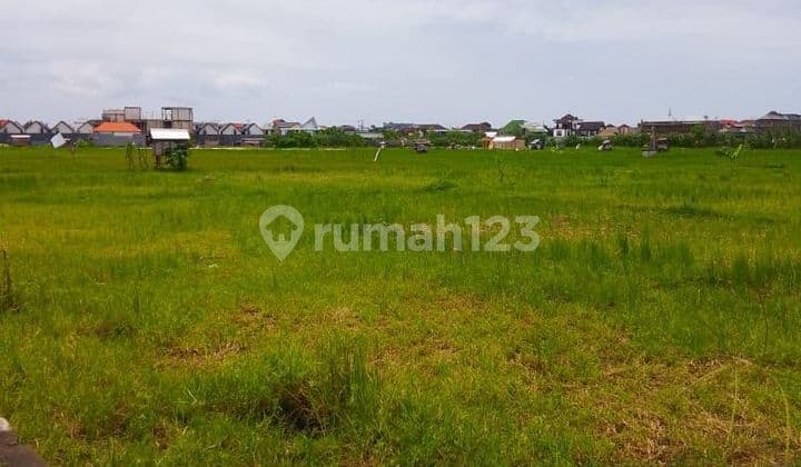Disewakan Tanah View Sawah di Jalan Kunti II Seminyak Kuta Badung -Bali