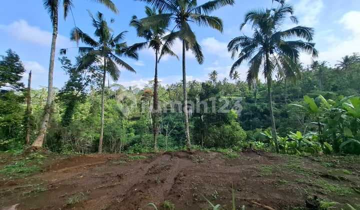 Tegalalang Gianyar land view of jungle and river, land area 4400m2.